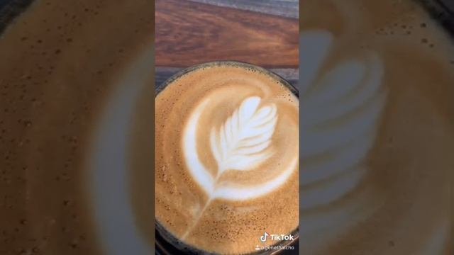 Best Ethiopian Sidamo  coffee