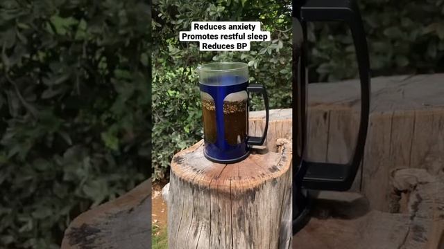 Blue Vervain Herbal Tea