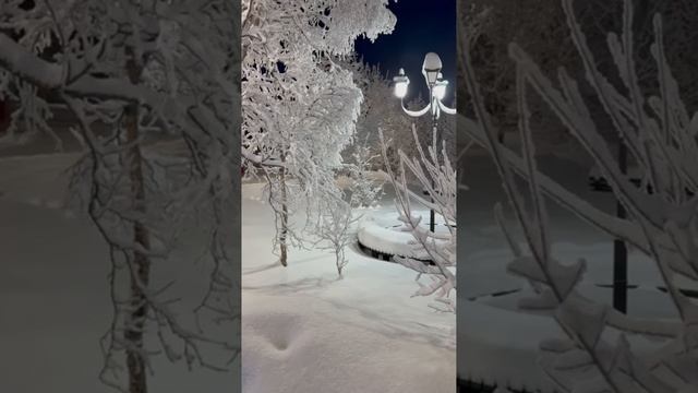 Жизнь за полярным кругом