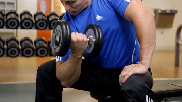 Concentration Curl - Biceps Exercise