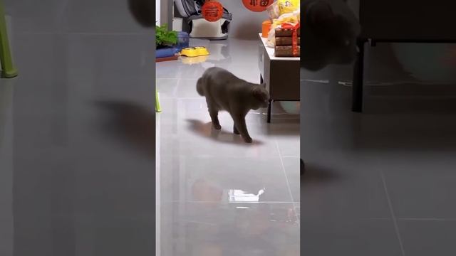 да я просто хожу