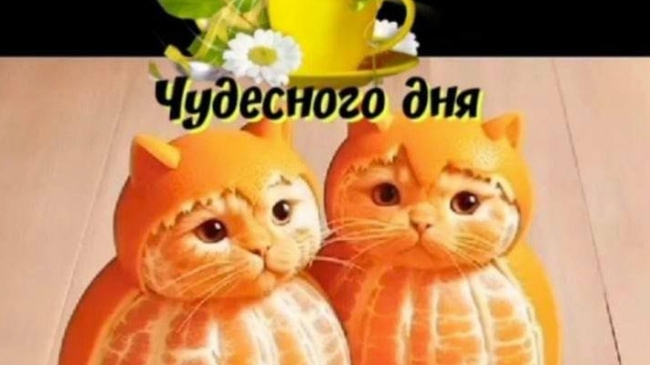 Сура «Ясин» на ночь.