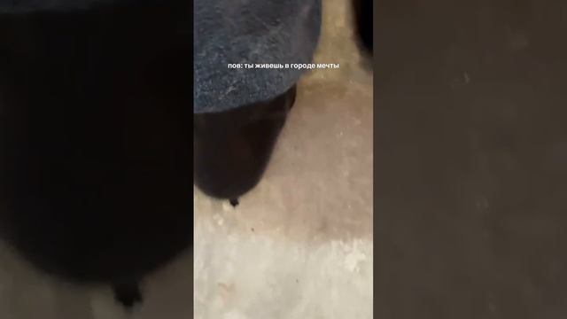 VID_20250117_194808_670.mp4