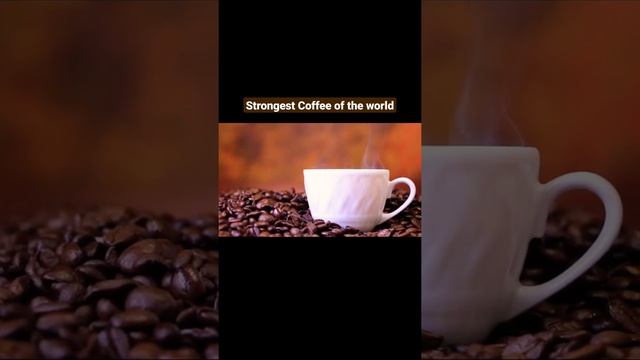 STRONGEST COFFEE OF THE WORLD | DEATH WISH COFFEE | संसार की सबसे स्ट्रांग कॉफ़ी। #shorts