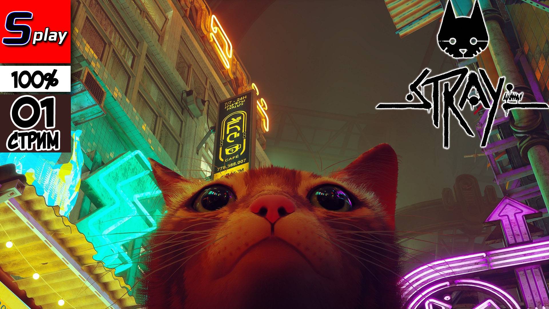 Stray на 100% - [01 - стрим]