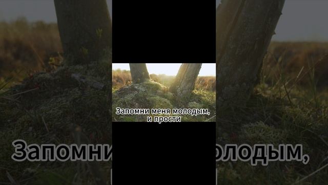 serofit когда я уйду