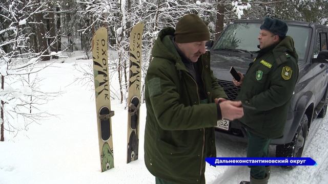 Зимний учёт диких животных стартовал в Нижегородской области