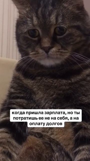 то чувство когда у тебя долгов больше чем зарплата 🥺😅