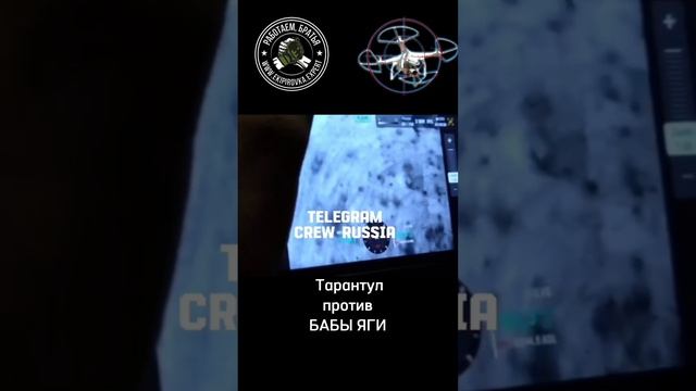Тарантул против Бабы-Яги! Сеткомёт эффективное оружие против больших БПЛА #экипировкаэксперт
