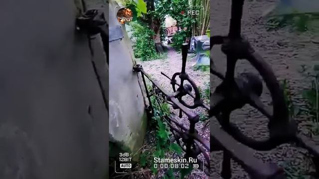 Калиточка!🤔👍.mp4