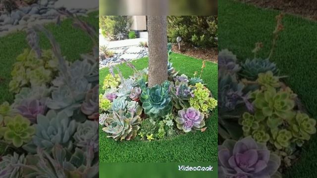 ideas de jardín con cactus y suculentas (5)