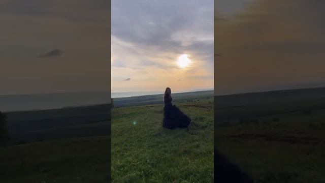 Зульфия Чотчаева - Ислам Мальсуйгенов - Убегая 2022 💙💜🥀 #shorts #subriya #музыка