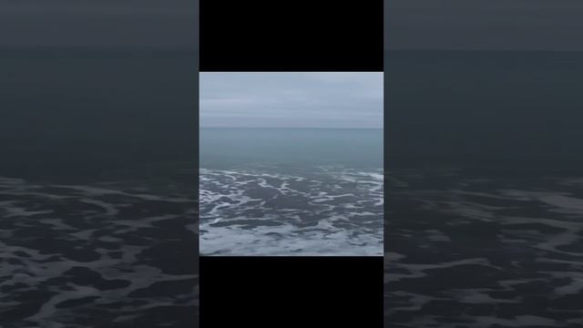17.01.2025 Лазаревское