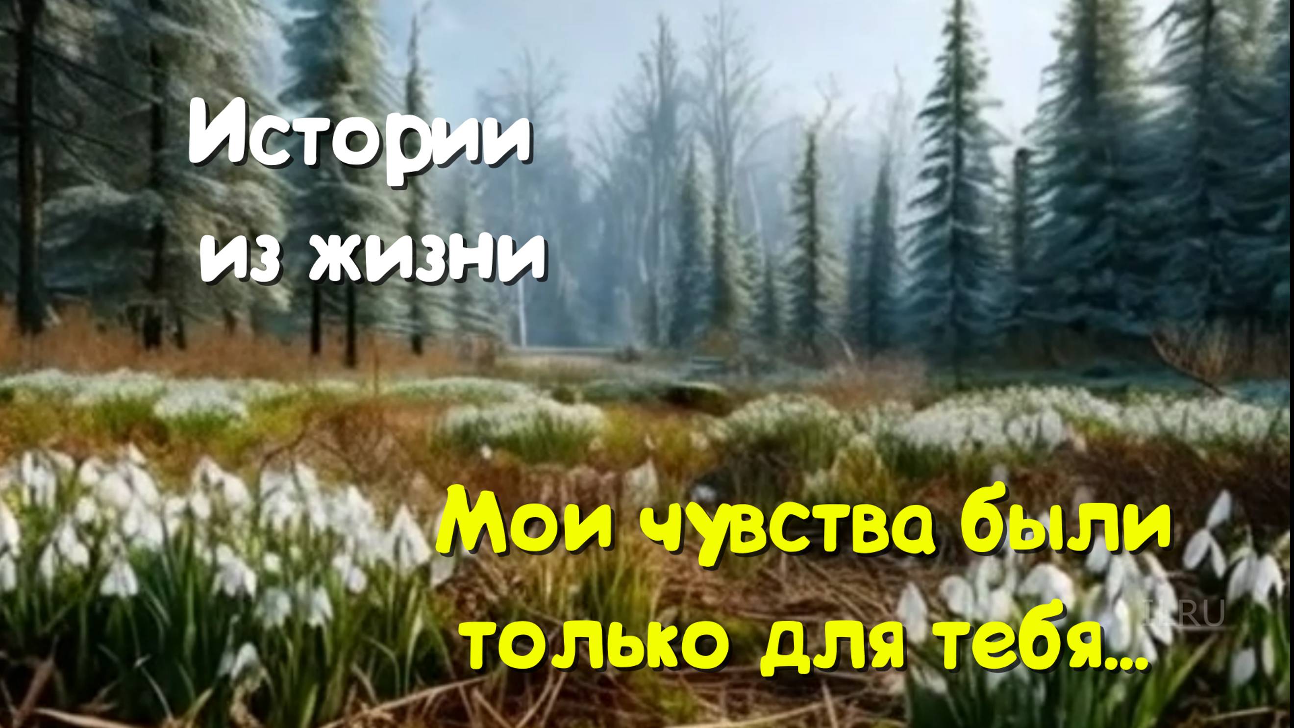 Истории о любви "Мои чувства были только для тебя" Читаем истории/ Рассказы/ Слушать истории