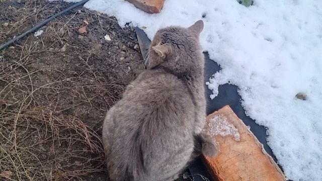 Всем хорошего дня!