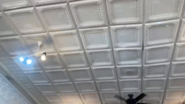 ￼ ceiling fans at a surf shop￼