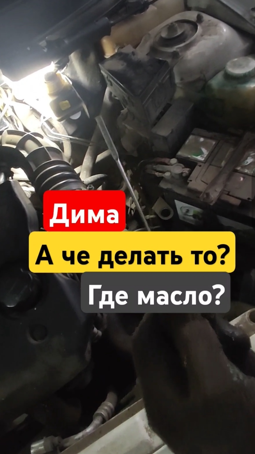 scene_output.mp4