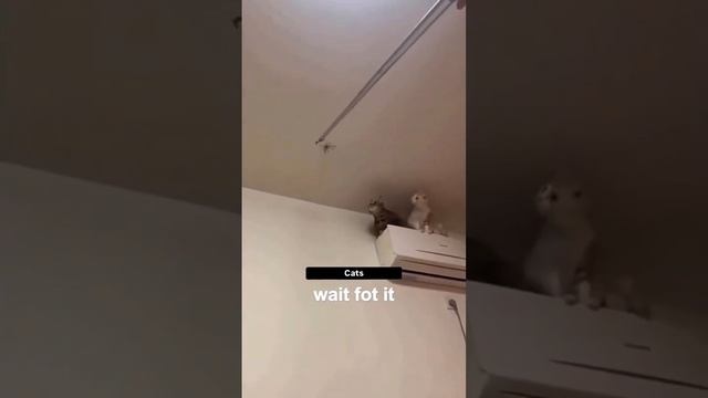 1000071660.mp4