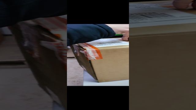 VID_20250117_162649.mp4