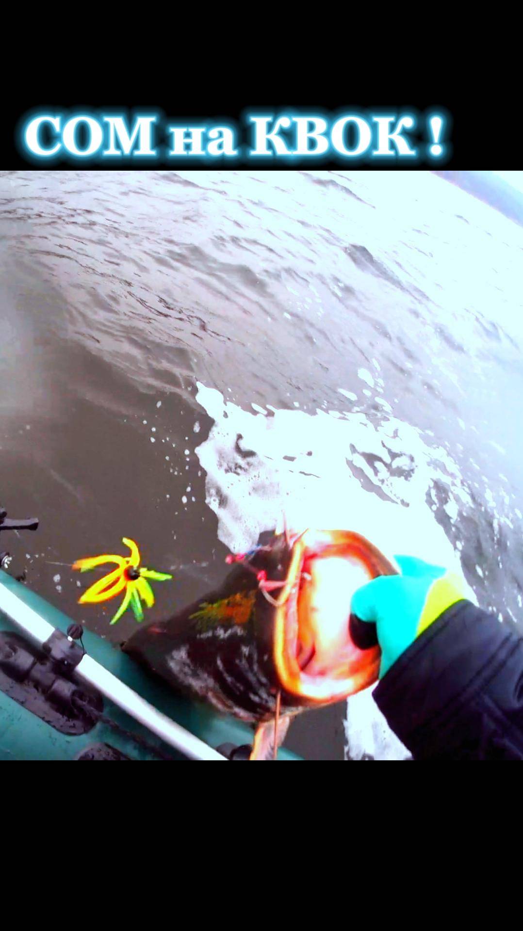 Опять СОМ !! #рыбалка #fishing #catfish #сом_на_квок
