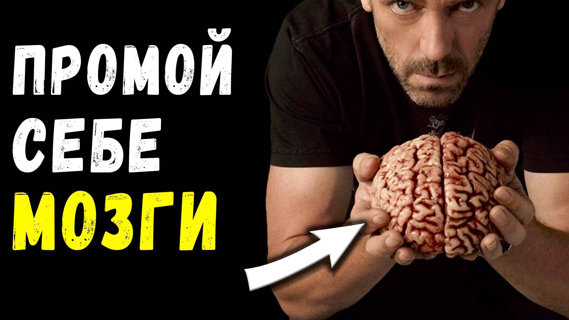 95% вашей жизни — это всего лишь программа! Простой Способ Перепрограммировать Свой Мозг