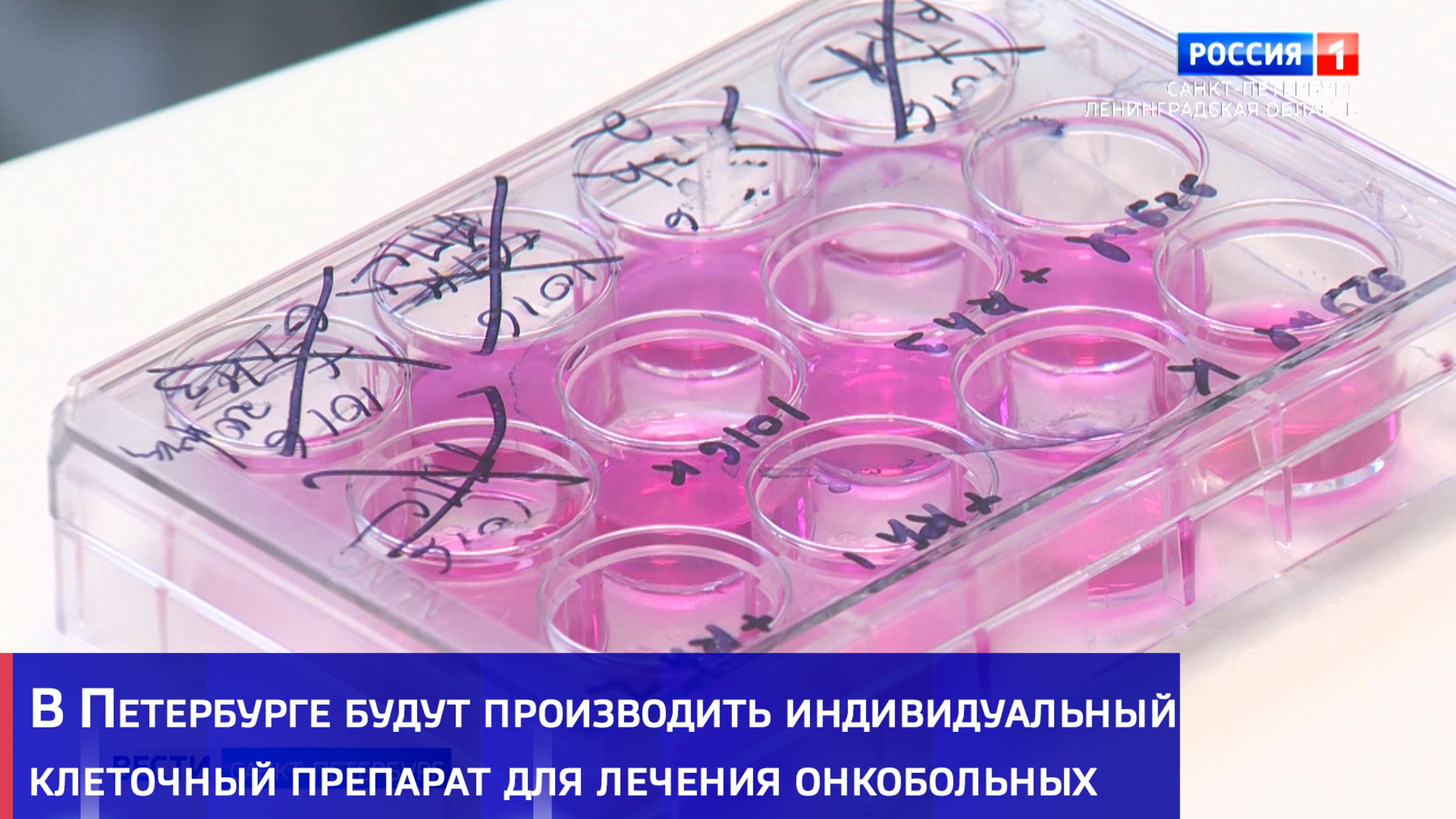 В Петербурге будут производить индивидуальную клеточную вакцину от рака