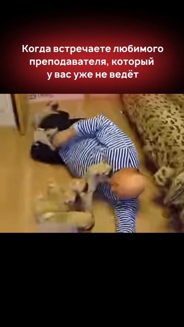 В МГЮА самые лучшие преподаватели!
