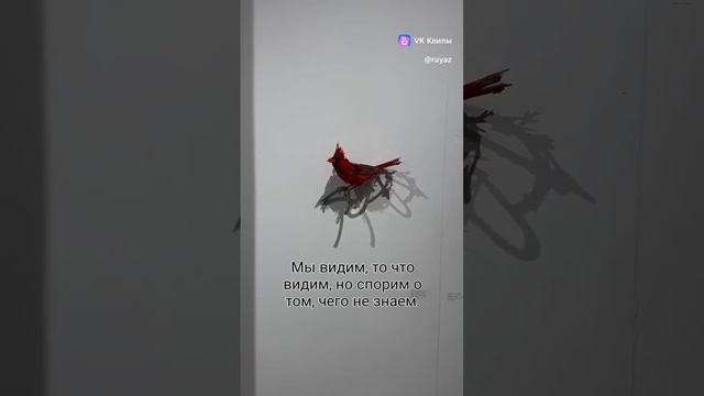 Мы видим то что хотим