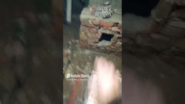 зонт вытяжка на угольный горн