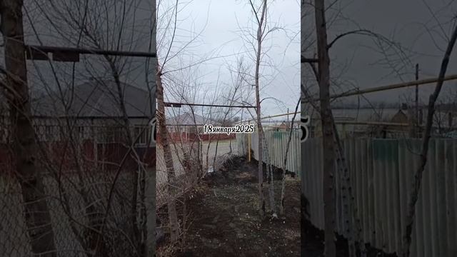 18января2025
