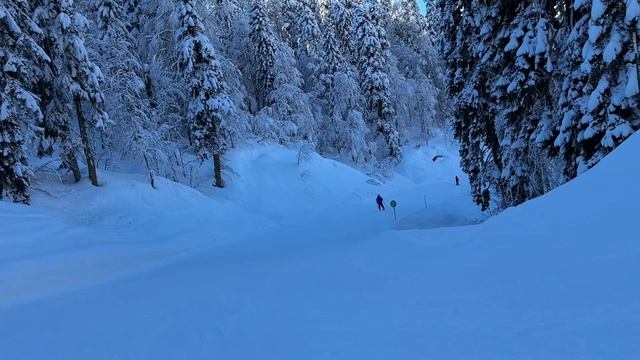 Спуск по ЯВОР-2 с РОЗА ПИК. Красная Поляна. Высота 2320.