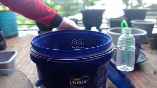 🍁Pupuk Organik Cair Super untuk Fase Generatif