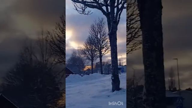 Привіт ? як справи?