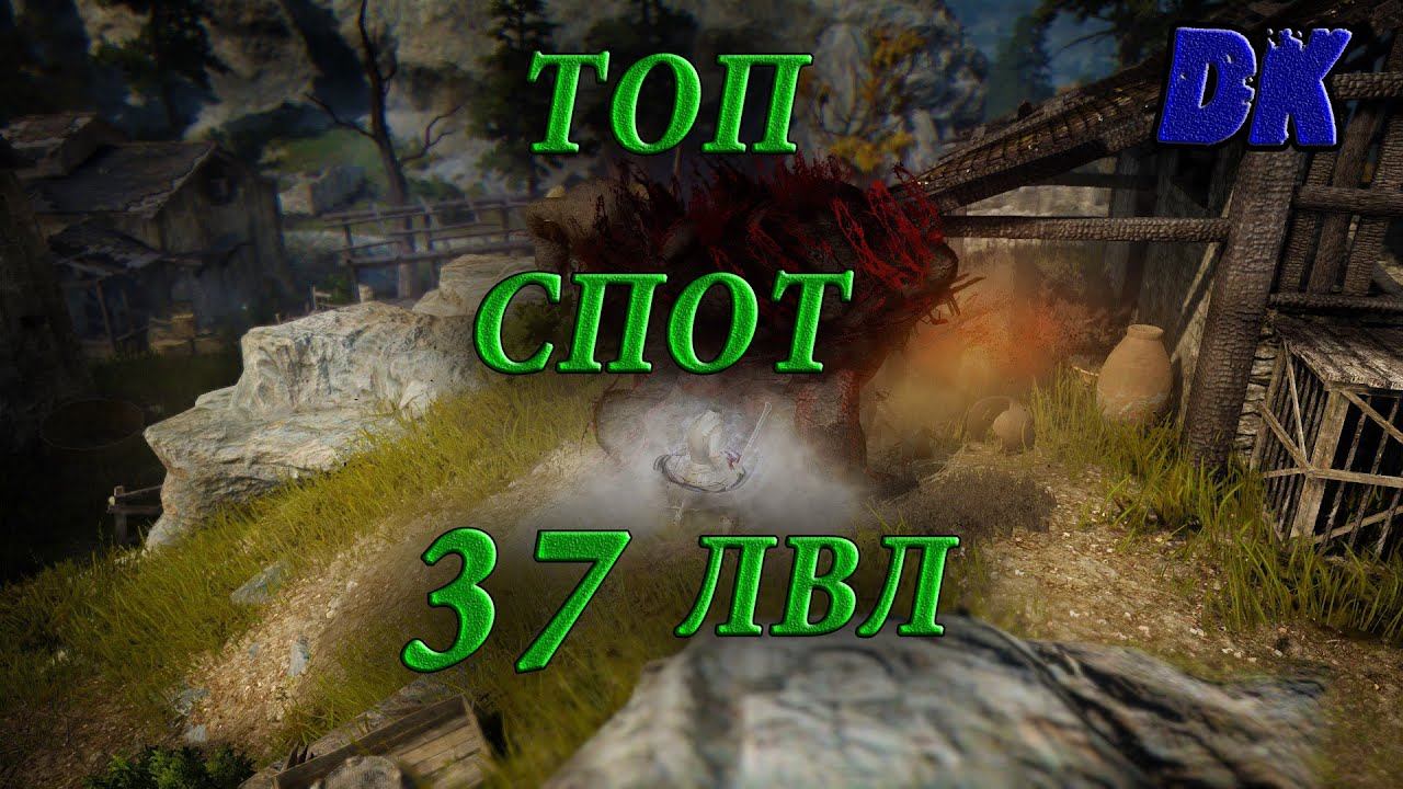 Black Desert (Россия) - Топ спот 37 лвл