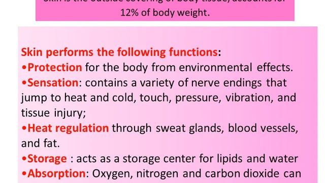 GAD 1 اولى طب (General Anatomy 1)Anatomical  position,Anatomical terms,Skin,Fascia