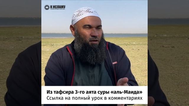 Запрет закалывать животное ножами из когтей и зубов. #Shorts Ринат Абу Мухаммад