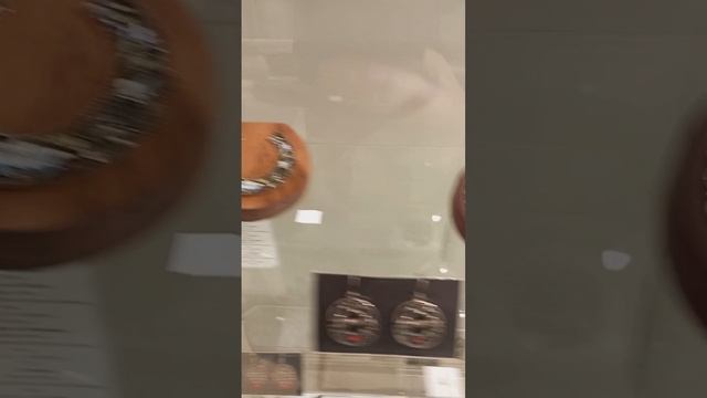 scene_output.mp4