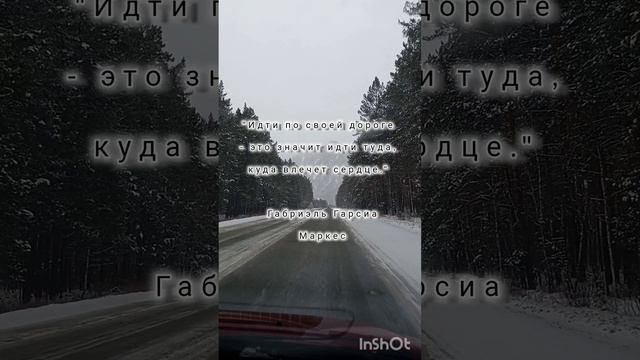 Цитаты "дорога"