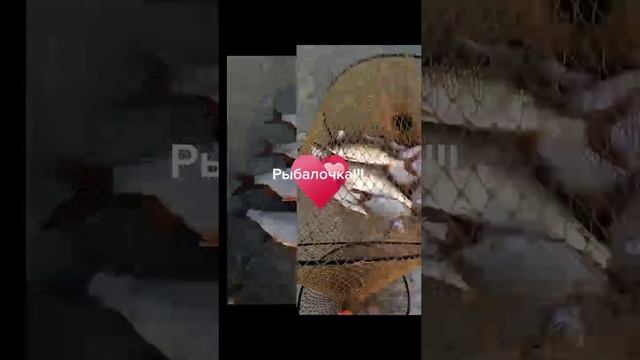 рыбалочка