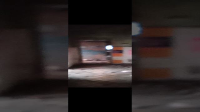 1000017875.mp4