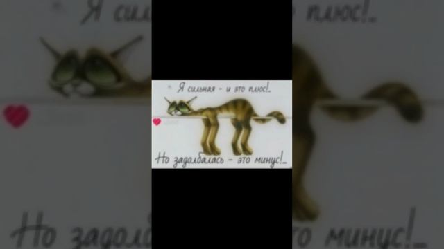 прикольные картинки 👍