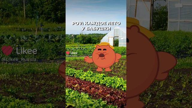 снова у бабушки в деревни