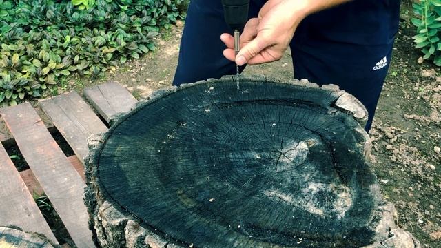 ДЭКО БОШ ЗИТРЕК что выбрать если денег нет ?