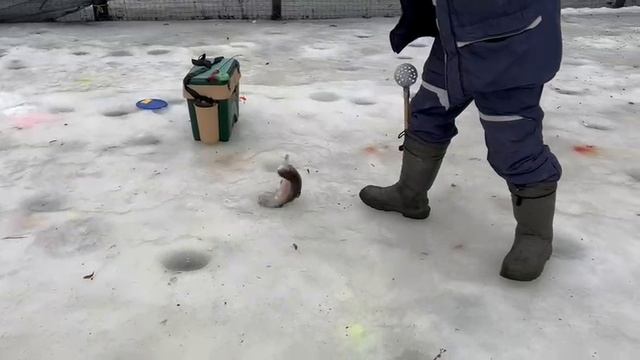18.01.25 г. РК ВОЛНА