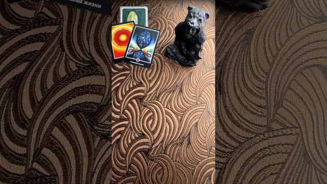 Поток "Что Вас порадует сегодня?"