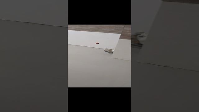 1000009775.mp4
