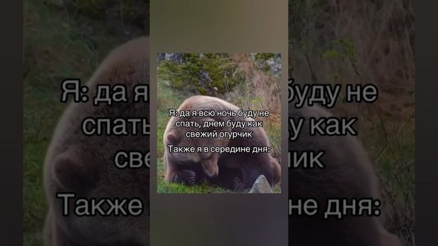 Юмор | Meme Clouds