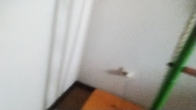 тур по всей моей комнате