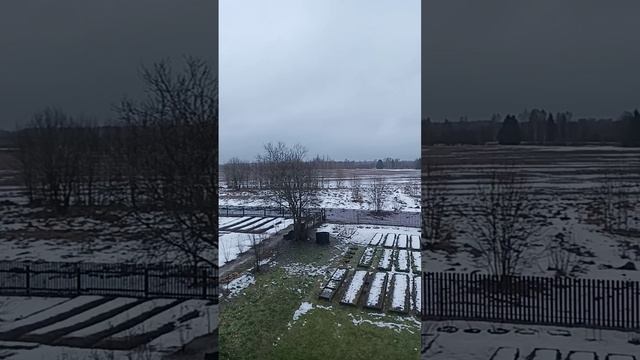 Зима 2025 года