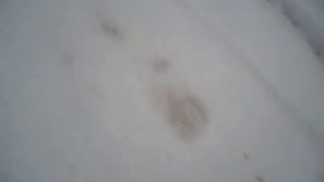 Внимание! Дослушайте пж - это щас важно. Вам стоит задуматься, пока живы!
